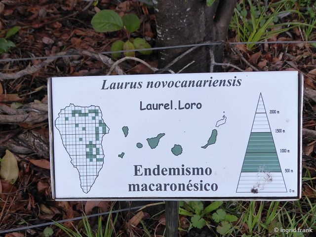 23.02.2018 - Botanischer Garten Informationszentrum Nationalpark Caldera de Taburiente, La Palma