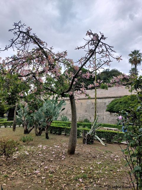 02.10.2025 - Sizilien, Palermo