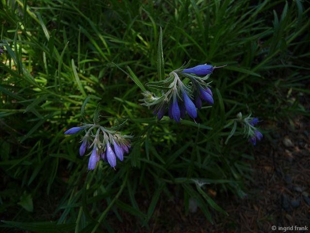 24.05.2012 - Botanischer Garten Leipzig