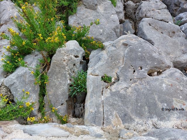 03.10.2025 - Sizilien, Cefalú