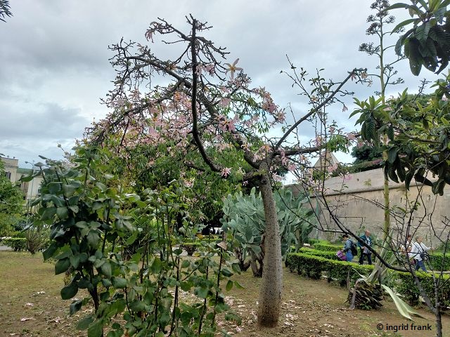 02.10.2025 - Sizilien, Palermo