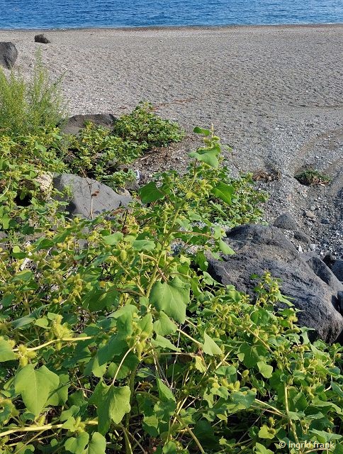 30.09.2025 - Sizilien, Giardini Naxos, Strand