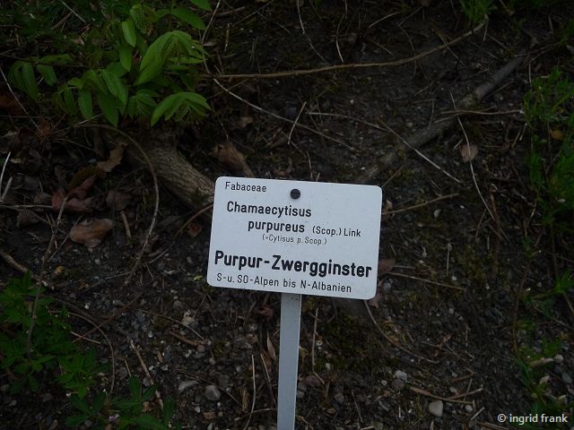 08.05.2015 - Botanischer Garten Dresden
