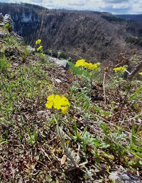 02.04.2024 - Auf dem Schaufelsen im Tal der Oberen Donau