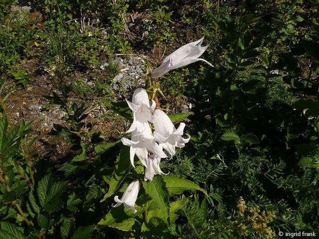 19.07.2014 - Nordnorwegen