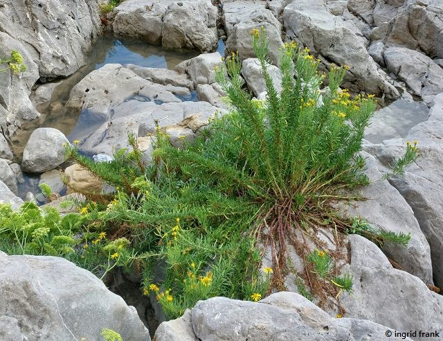 03.10.2025 - Sizilien, Cefalú