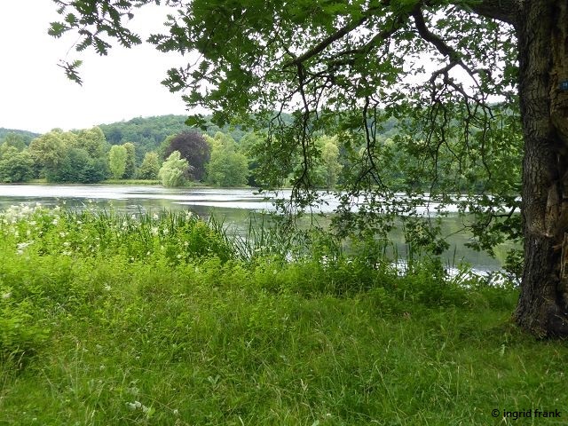 28.06.2018 - Im Schlosspark von Greiz