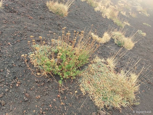 28.09.2025 - Sizilien, Ätna