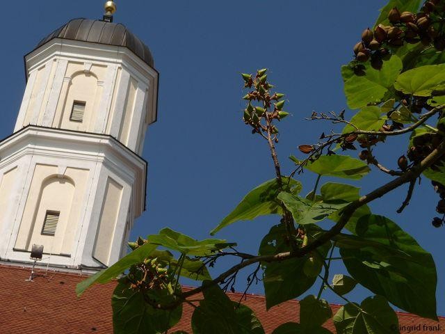 21.06.2012 - Uferpromenade in Langenargen