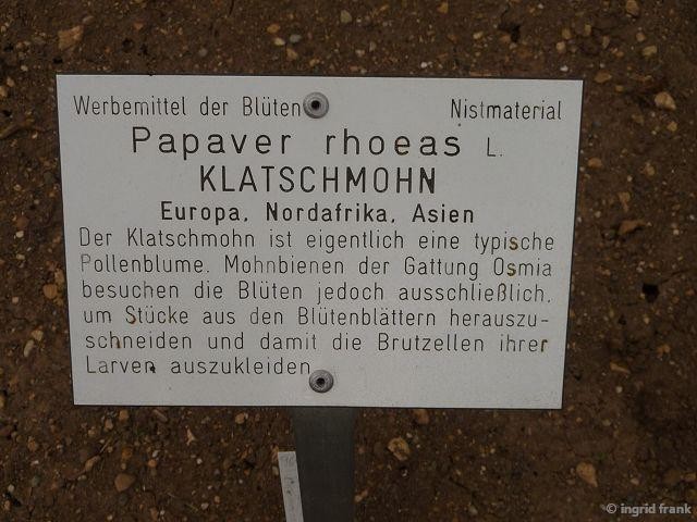 27.04.2015 - Botanischer Garten Ulm