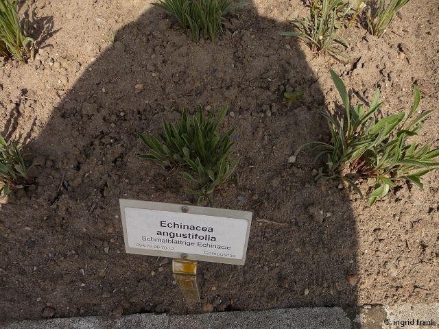 05.05.2014 - Botanischer Garten Berlin