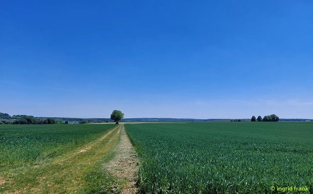 Blick zur Albhochfläche
