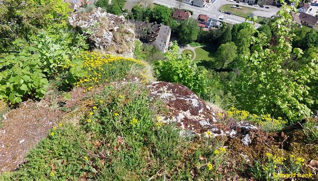 Blick vom Himmelsfelsen auf Schloss Eybach