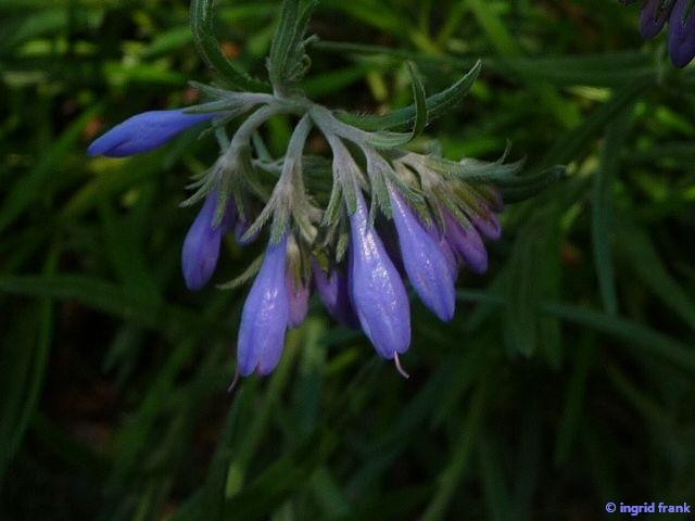 24.05.2012 - Botanischer Garten Leipzig