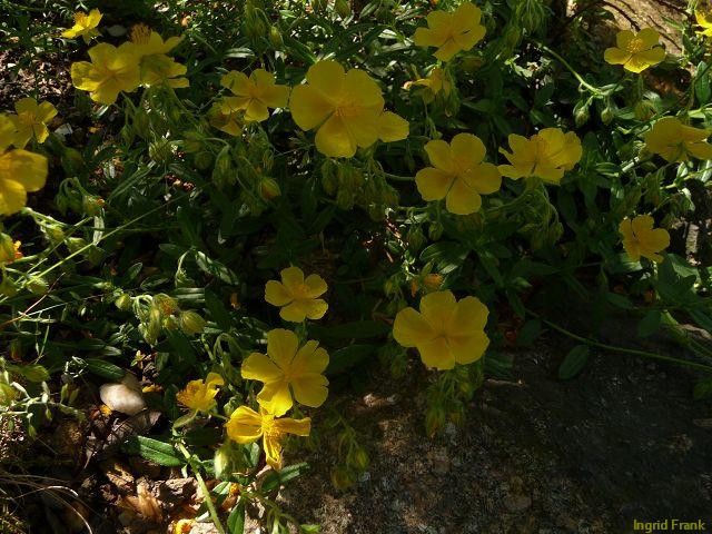 24.05.2012 - Botanischer Garten Leipzig