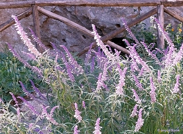 29.09.2025 - Sizilien, Syrakus, Archäologiepark 