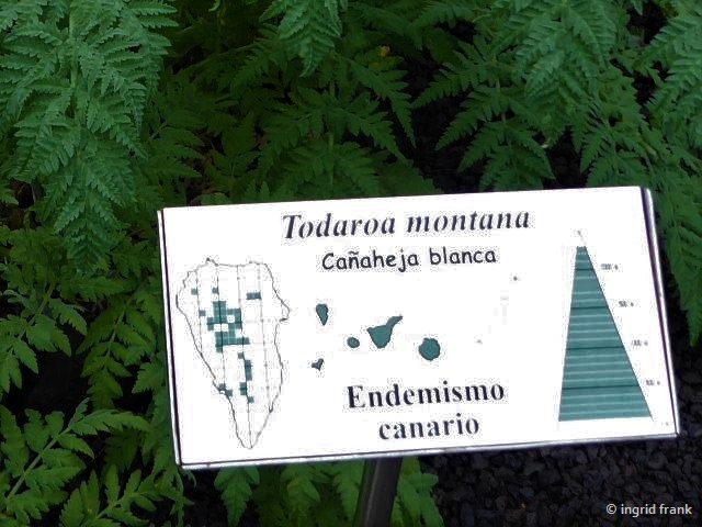 23.02.2018 - Botanischer Garten Informationszentrum Nationalpark Caldera de Taburiente, La Palma