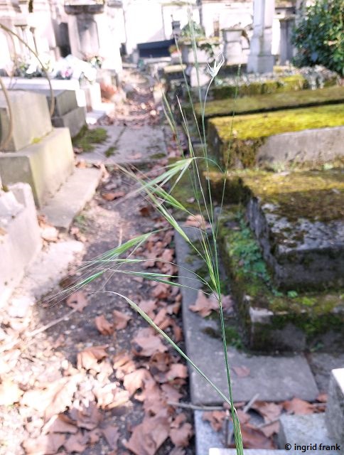 08.02.2026 - Paris Friedhof Père Lachaise