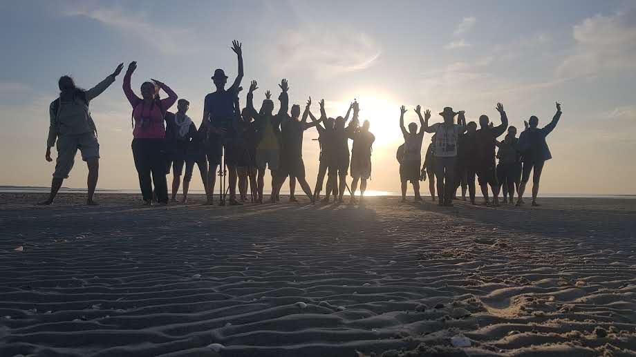 Visite phoques en famille en baie de Somme