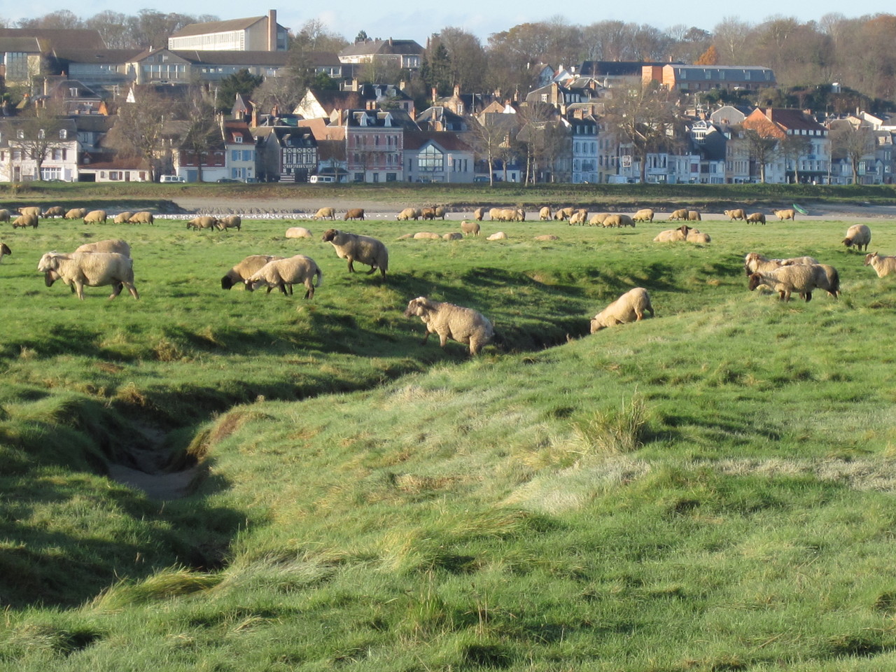 St Valery sur Somme, Baie de Somme