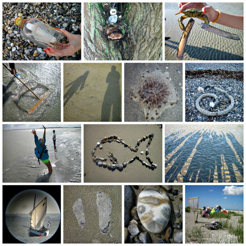 Guide Baie de Somme observation phoques traversée de la Baie activité aventure animaux à faire à voir à visiter à pied