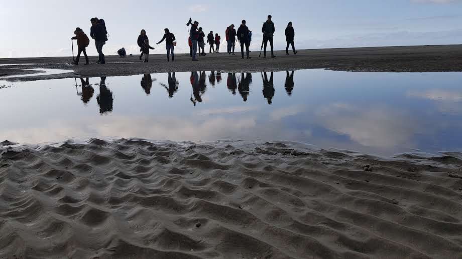 Activité et sorties nature en Baie de Somme