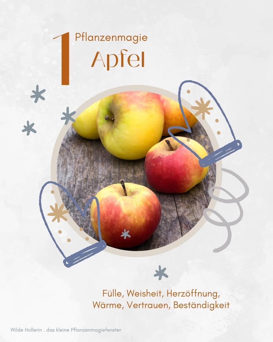 das kleine Pflanzenmagiefenster