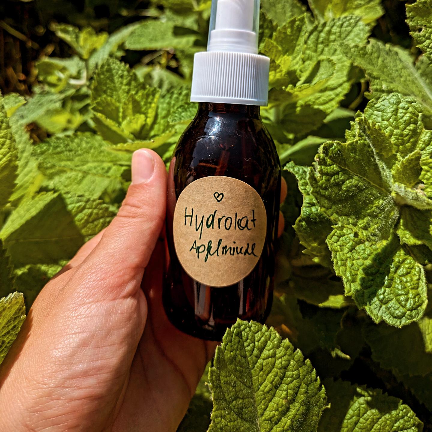Frischekick Hydrolat aus Apfelminze
