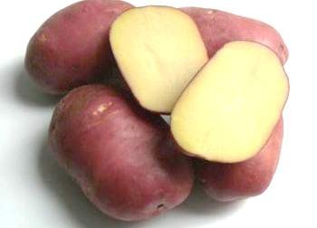 Картофель Роко