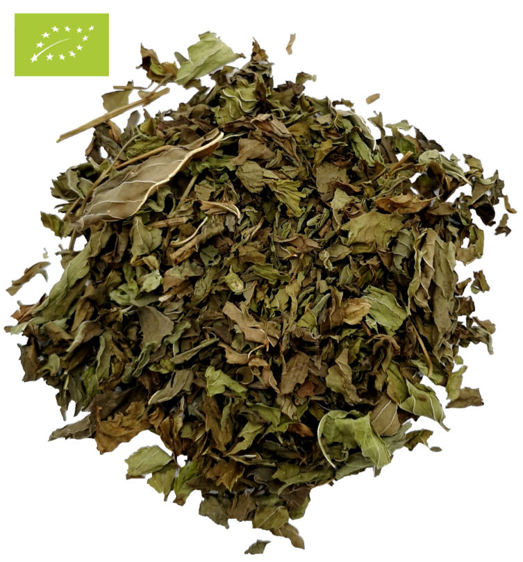 Kräutertee-Tee-Spearmint-Minze-Nanaminze-Krauseminze