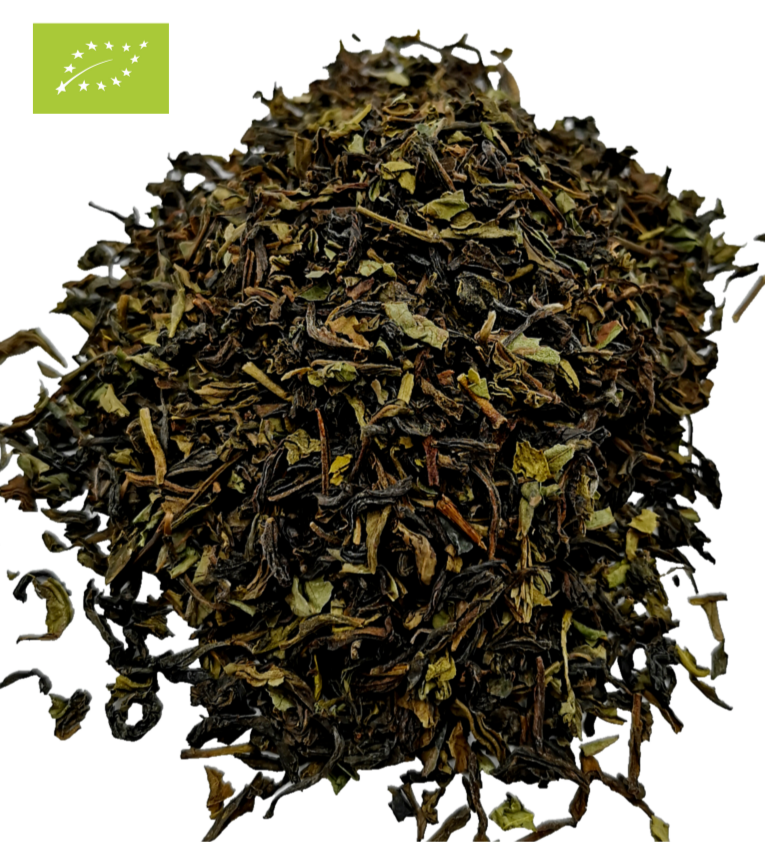Darjeeling-First Flush-Schwarztee-Okayti-Indien-Schwarzer Tee
