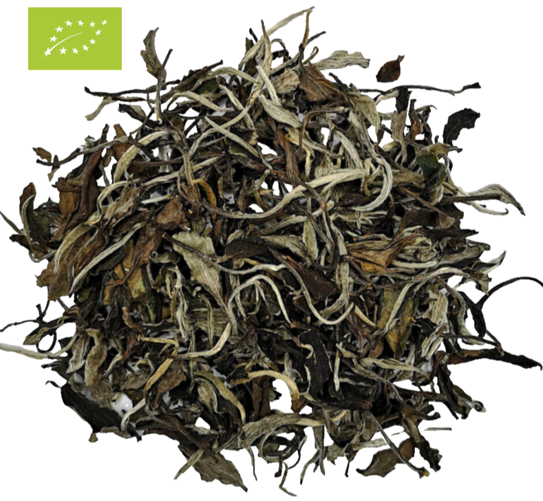 weißer-tee-weißtee-china-yunnan-moonlight-white