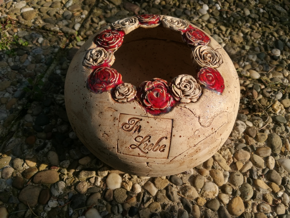 Pflanzlinse Rosen, ca. 17cm Durchmesser