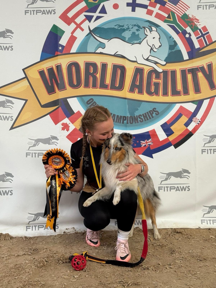 „Ice“ Itzibitzi Icefee vom Nixenteich wurde mit ihrem Frauchen Zoe am Wochenende in Portugal WAO Agility World Champion! Was ein tolles Team! Gaaanz herzlichen Glückwunsch vom ganzen Nixenteich 🥳🥳🥳