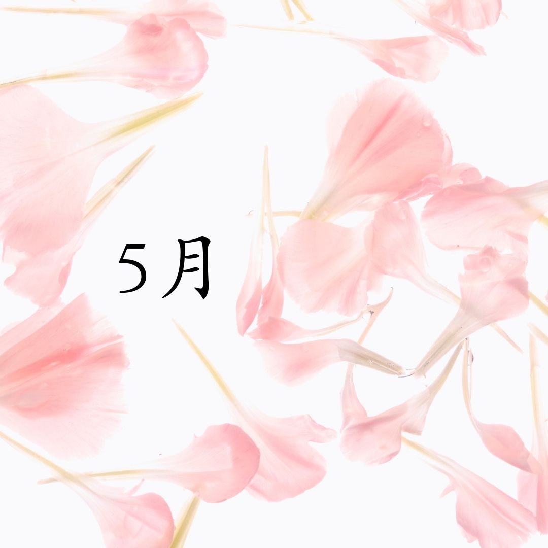 2025年05月スケジュール