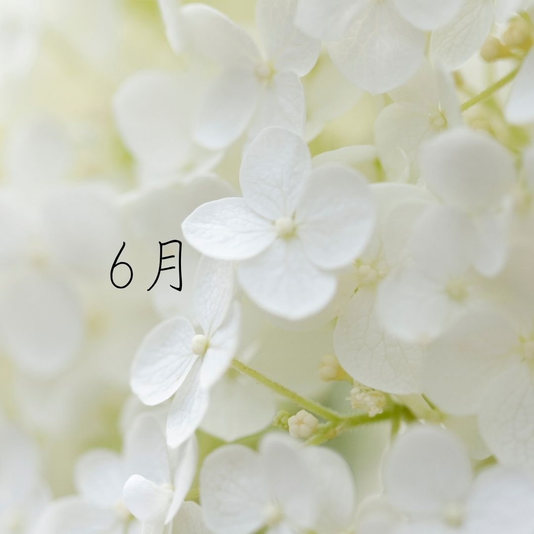 2025年06月スケジュール