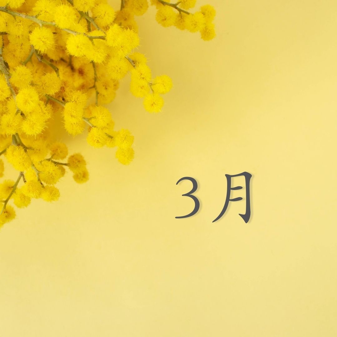 2025年03月スケジュール