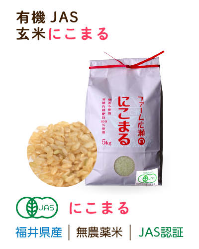 福井県産 無農薬米にこまる・こしひかりの通販 - 福井の無農薬米 福井県産 無農薬米にこまる・こしひかりの通販 - 福井の無農薬米