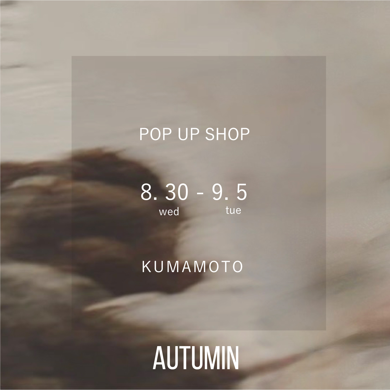 POP UP STORE 8/30-9/5 in KUMAMOTO 熊本鶴屋