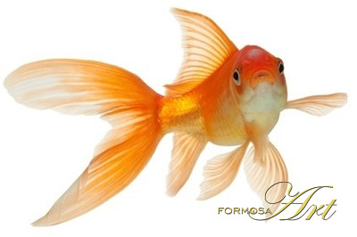 Feng Shui Goldfisch-Aquarium