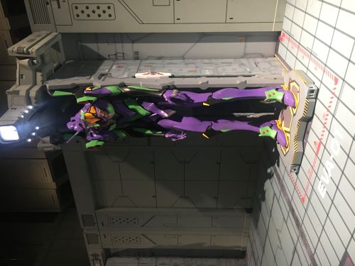 小さな世界が広がっている