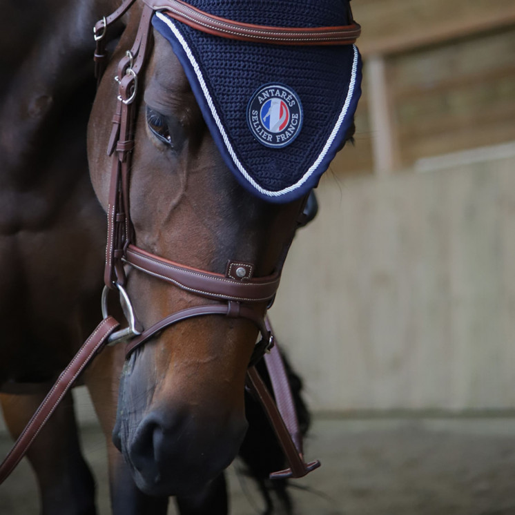 JUMPING - 乗馬用品 Talitha.co JUMPING - 乗馬用品 Talitha.co