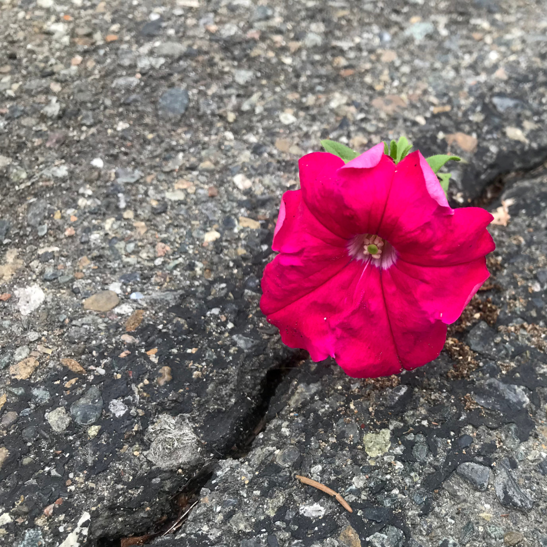 5. Resilienz: Was stärkt mich wirklich?