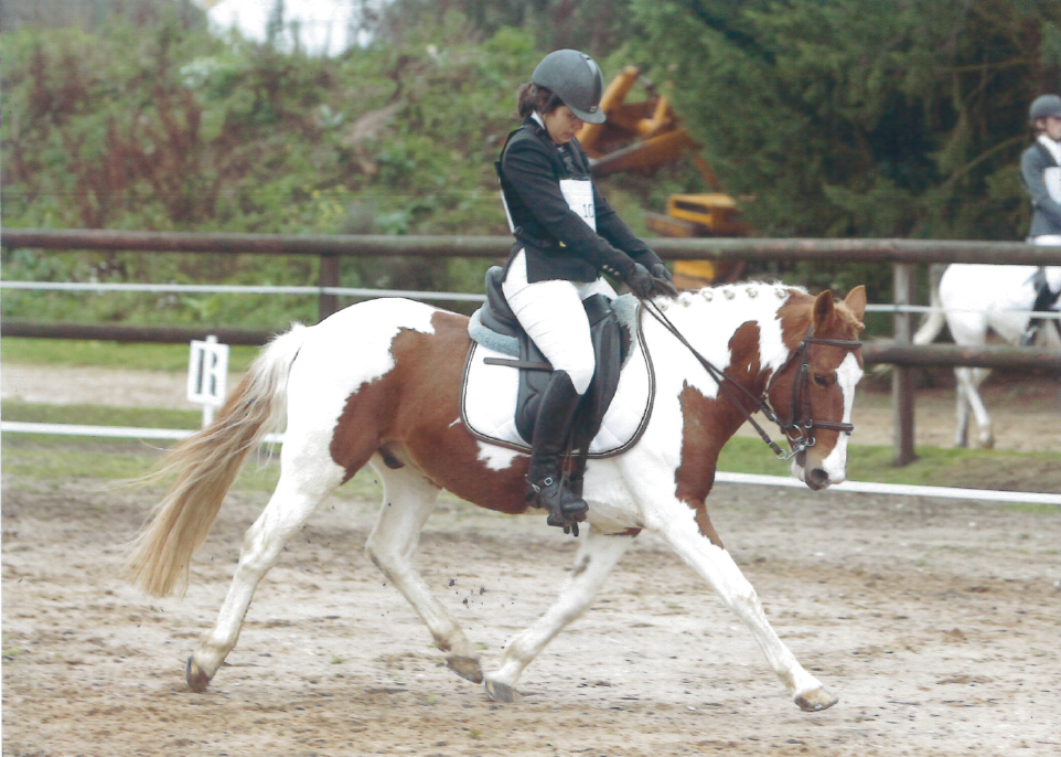 Dressage 