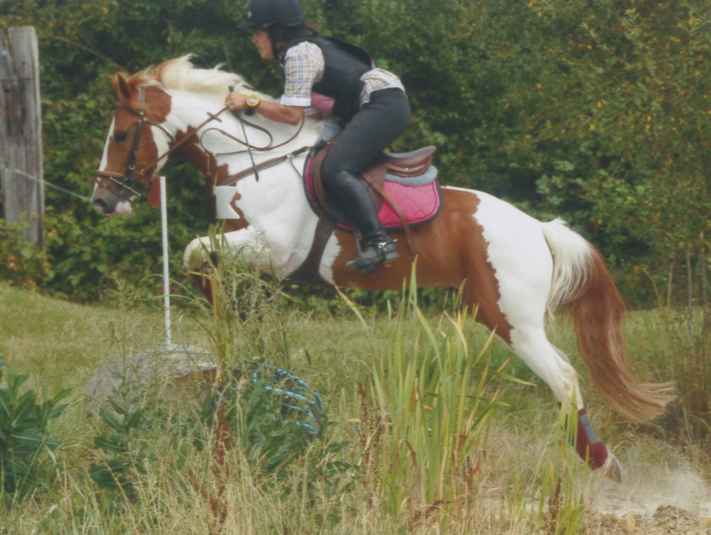 Cross des 6 ans D à Laval