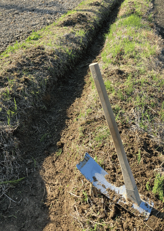 水路の草刈り