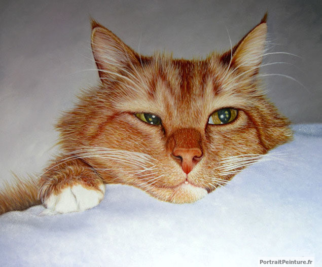 Ordinaire Peintre Animalier Chat #1: Peintre-animalier-peinture-chat Ordinaire Peintre Animalier Chat #1: Peintre-animalier-peinture-chat