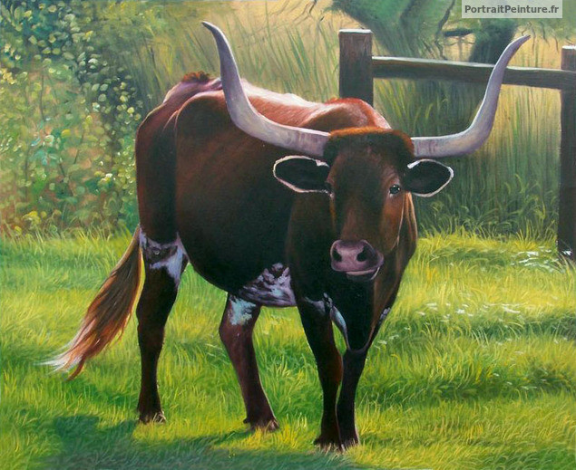 portrait-animalier-vache