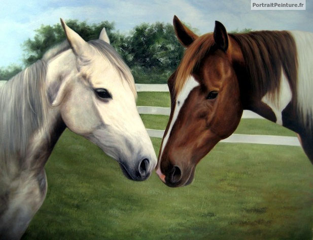 portrait-peinture-chevaux-equitation