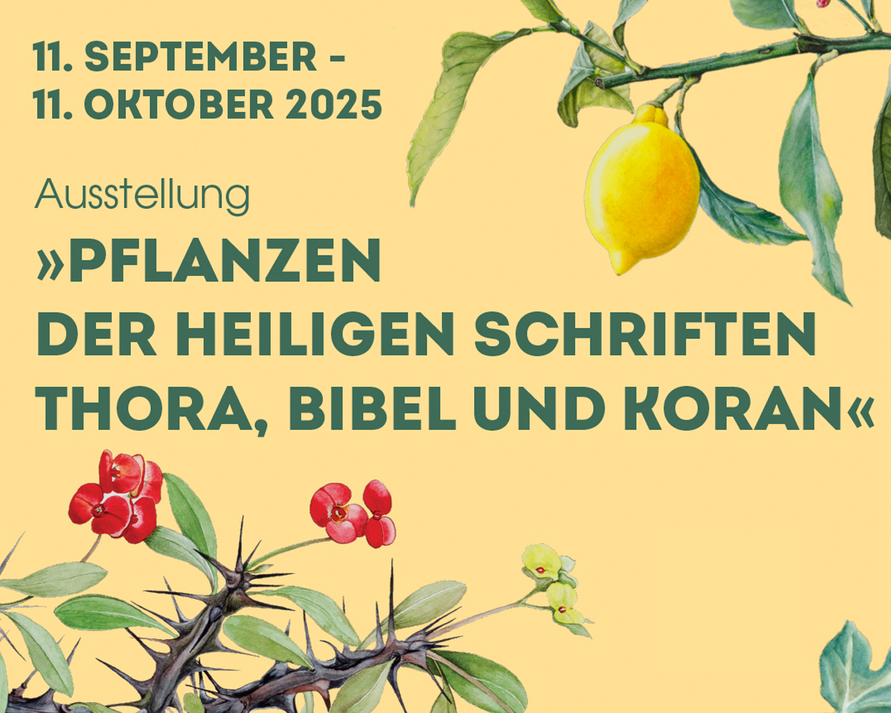Ausstellung "Pflanzen der heiligen Schriften Thora, Bibel und Koran"